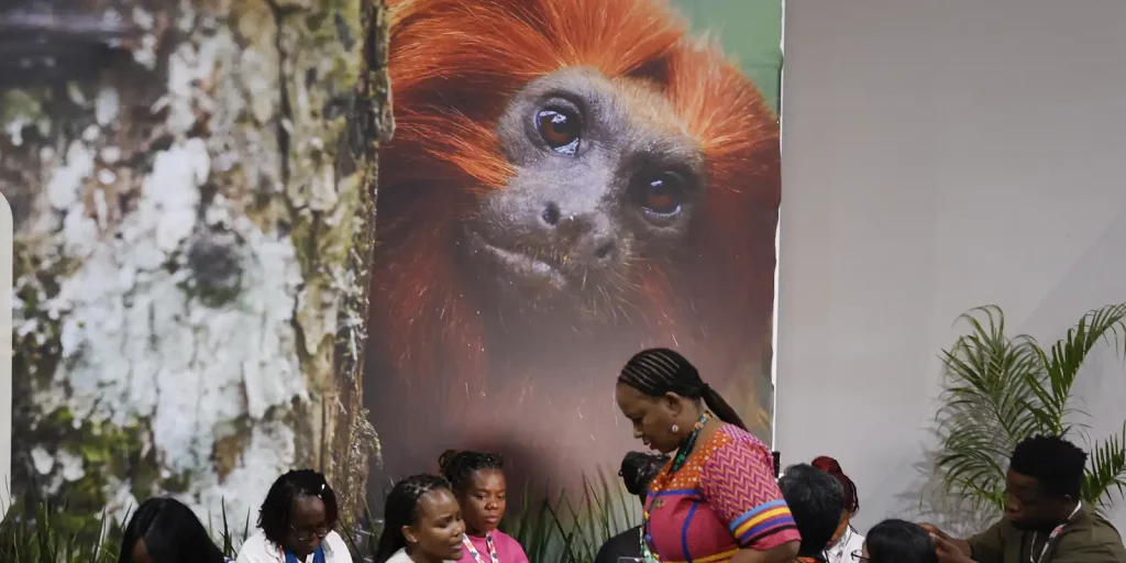 Belém sedia cop30 com foco em financiamento climático e transição energética
