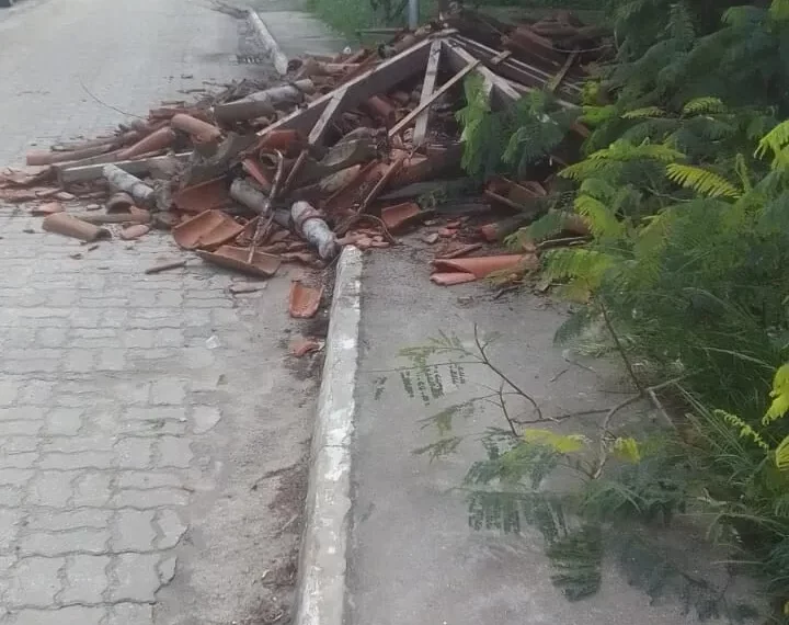 Árvore cai sobre ponto de ônibus na Baía Formosa e mobiliza Defesa Civil em Búzios