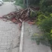 Árvore cai sobre ponto de ônibus na Baía Formosa e mobiliza Defesa Civil em Búzios