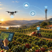 Internet no campo transforma produção e projeta safra recorde de café para 2026