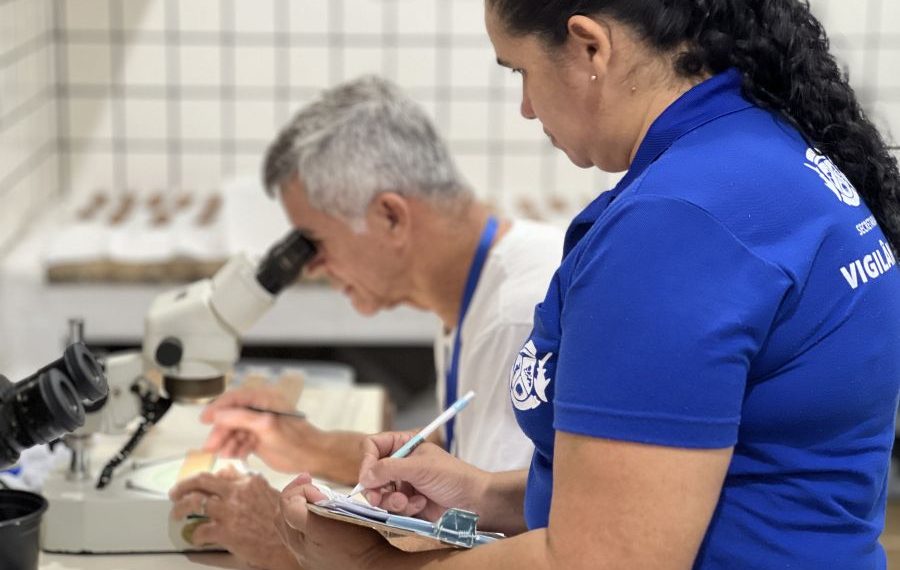 Rio das Ostras utiliza armadilhas de ovos para mapear e combater focos de dengue